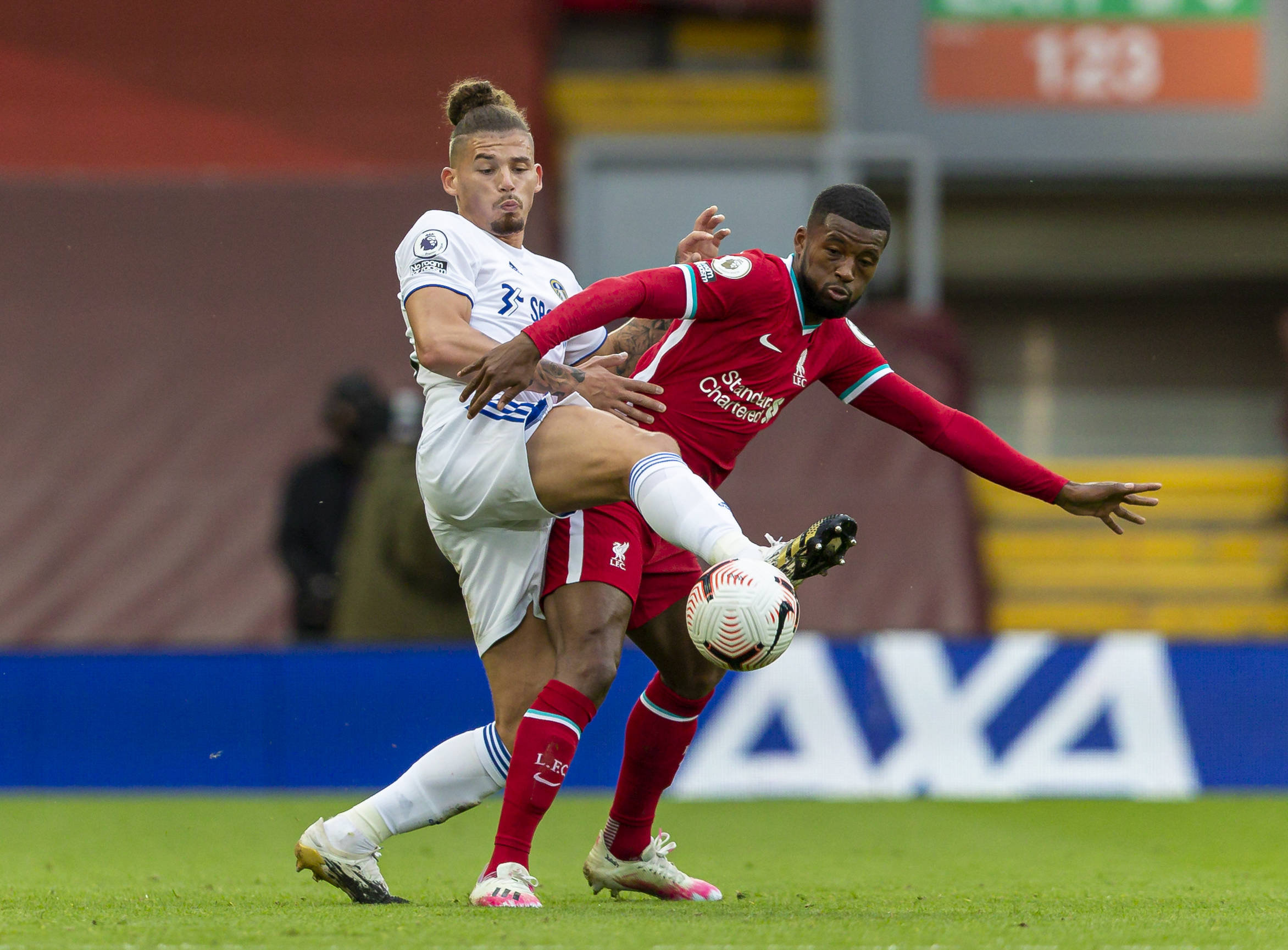 他们不仅确 他们不仅确